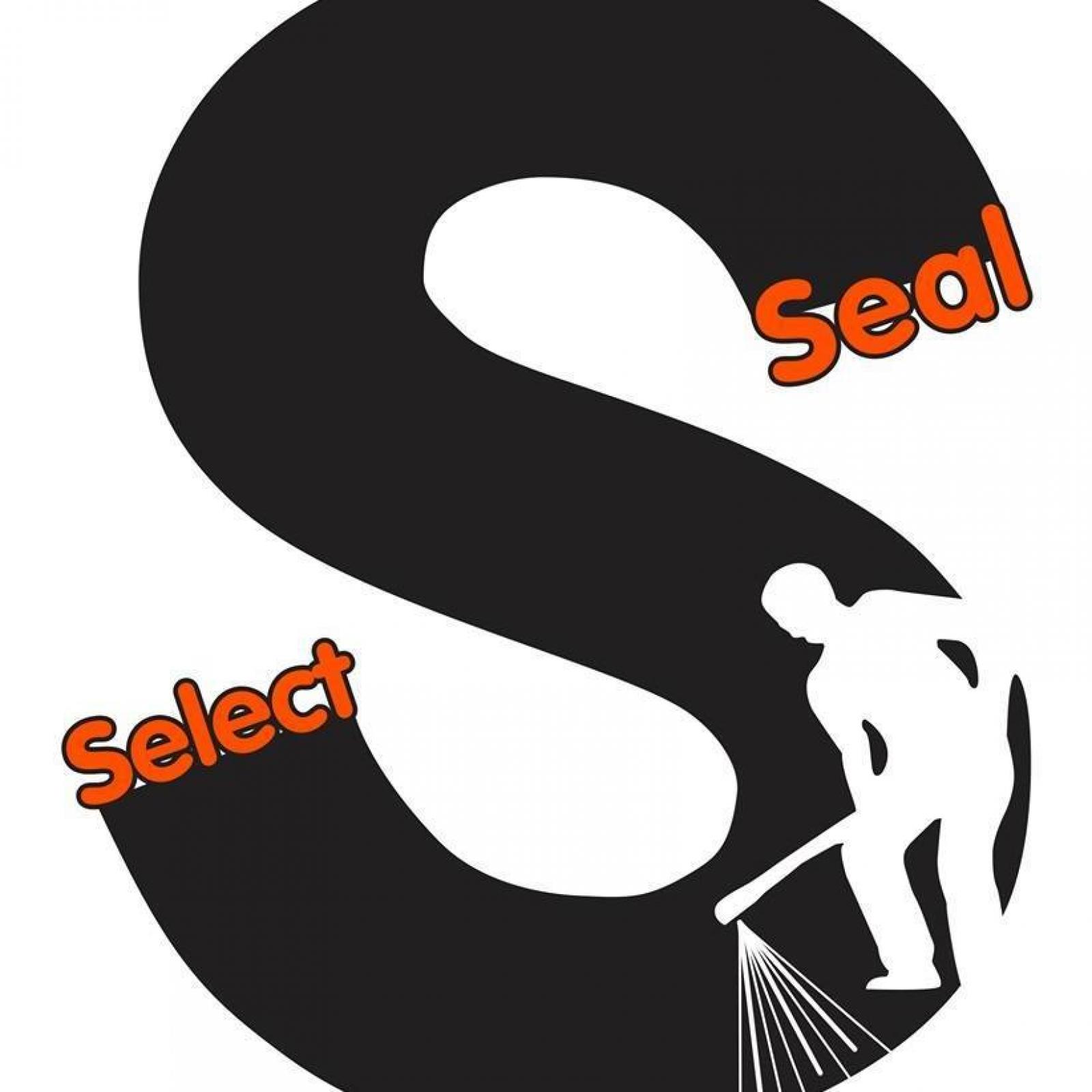 Protection Asphalte Select Seal. Logo